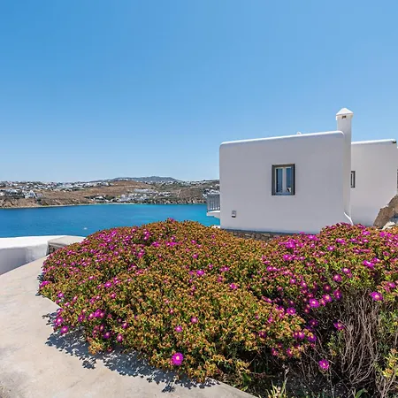 Willa Carpe Diem Mykonos ,heated Pool!