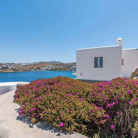 Villa Carpe Diem Mykonos ,heated Pool!