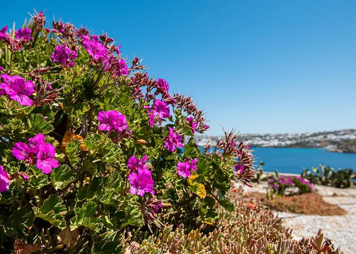 Carpe Diem Mykonos ,heated Pool! Vila Ornos (Mykonos)
